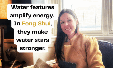 Don’t Place That Fountain Yet: What You Must Know About Water Stars