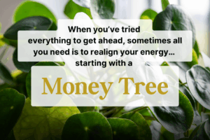 Money Tree: 10 Feng Shui Secrets for Wealth and Success