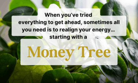 Money Tree: 10 Feng Shui Secrets for Wealth and Success