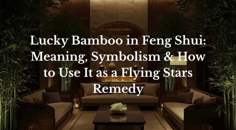 The Power of Lucky Bamboo in Feng Shui